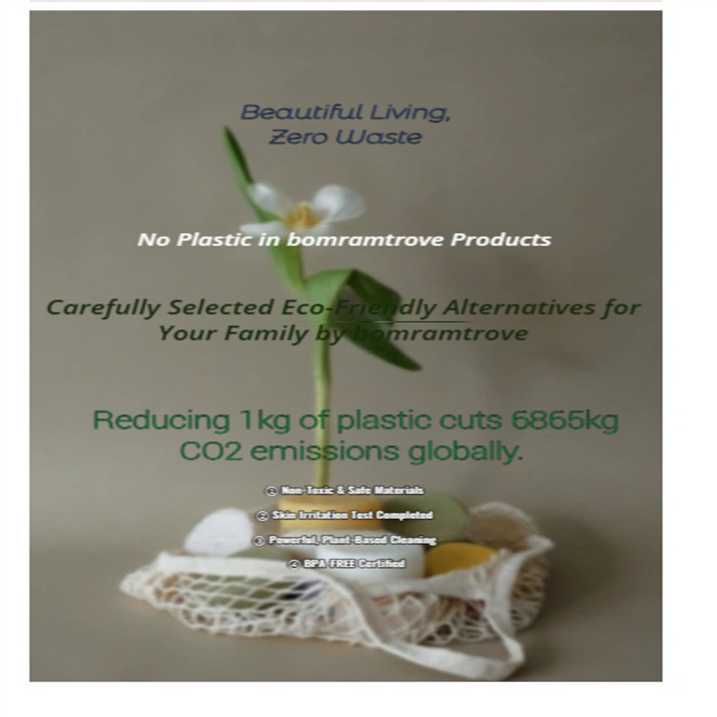 bomramtrove Zero Waste Home Starter Kit Plant-Based Dish Soap